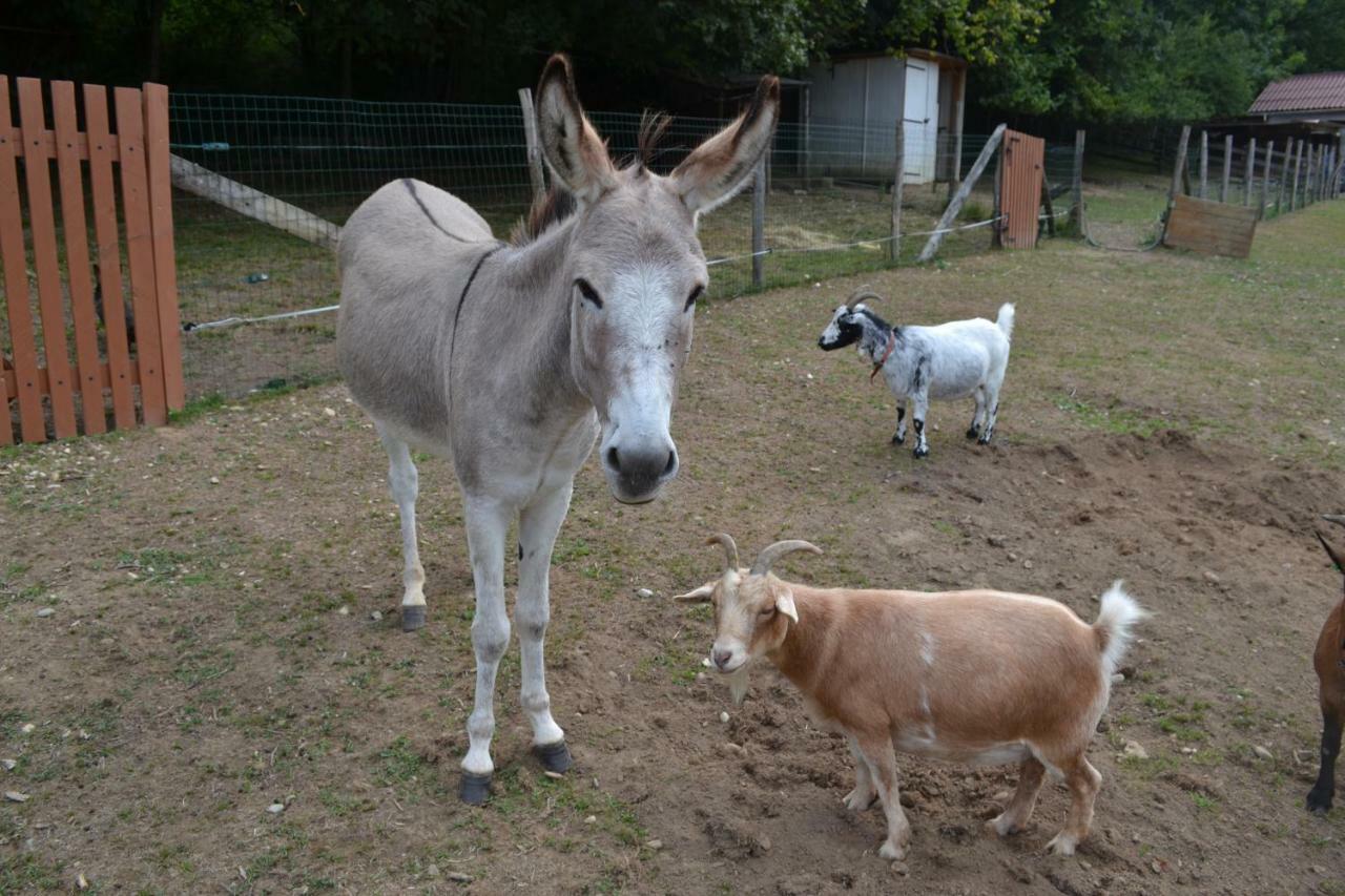 Le Paradis Des Animaux Coublevie 外观 照片