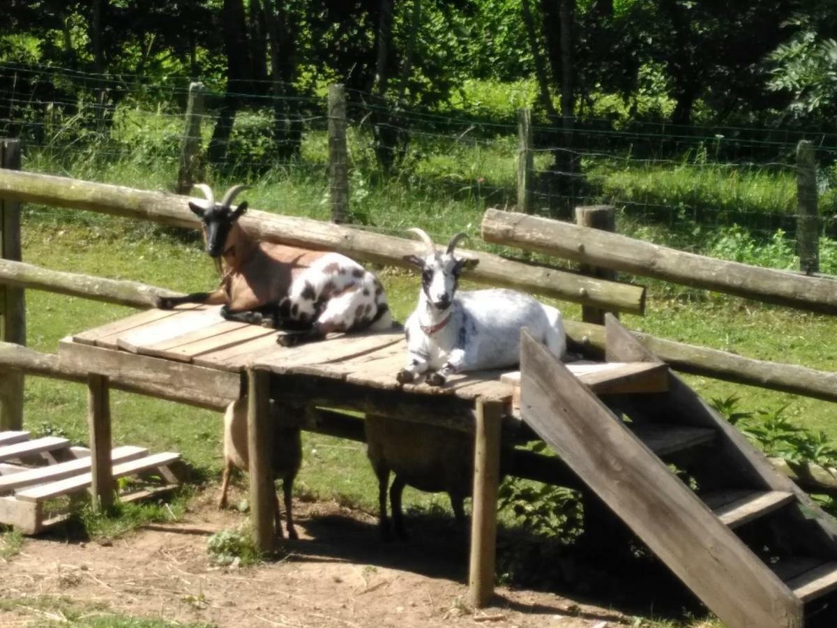 Le Paradis Des Animaux Coublevie 外观 照片